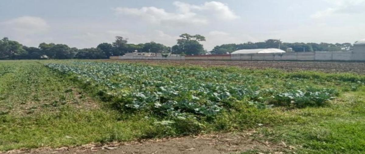 Foto de terreno habitacional en , san jerónimo tianguismanalco, san martín texmelucan, puebla, 30075259 foto 04 Foto de terreno habitacional en venta en , san jerónimo tianguismanalco, san martín texmelucan, puebla, 30075259 No. 04