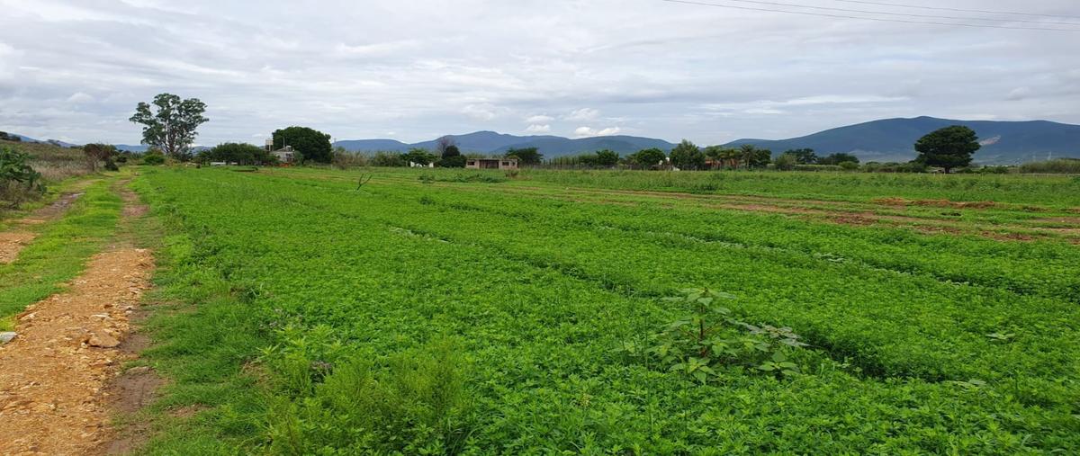 Foto de terreno habitacional en venta en  , san jerónimo tlacochahuaya, san jerónimo tlacochahuaya, oaxaca, 0 No. 03