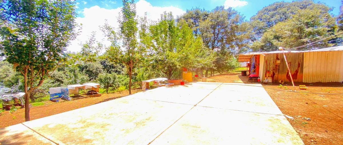 Foto de terreno habitacional en venta en  , san jeronimo zacapexco, villa del carbón, méxico, 30240492 No. 05