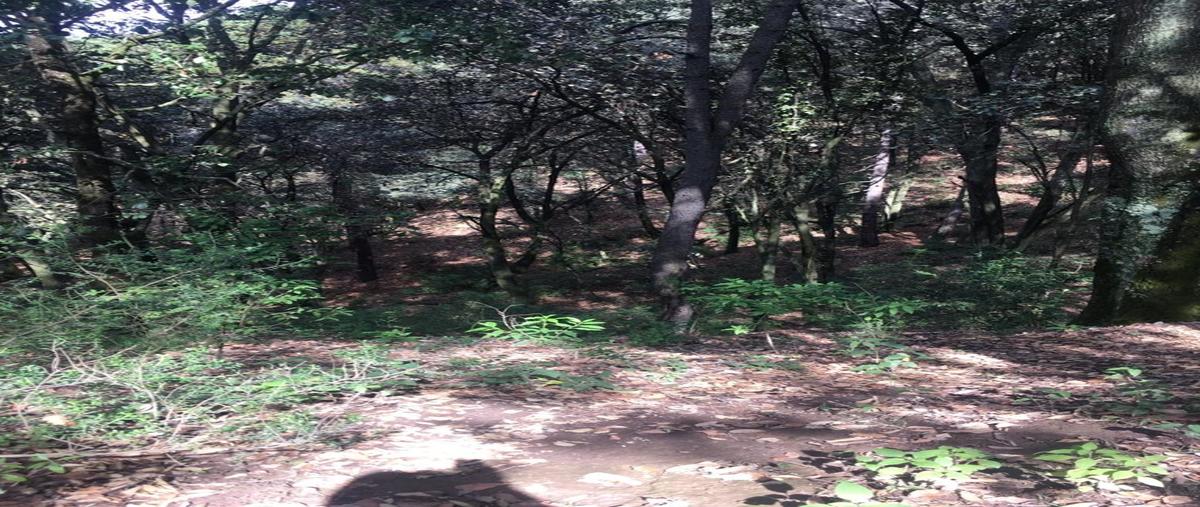 Foto de terreno habitacional en venta en  , san jeronimo zacapexco, villa del carbón, méxico, 30367076 No. 03