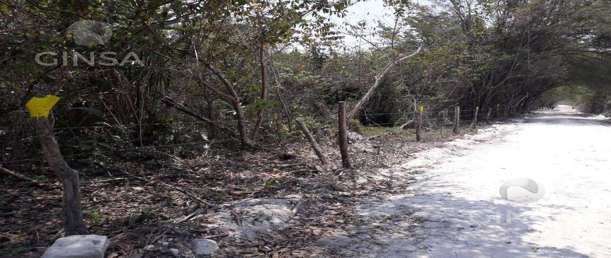 Foto de terreno habitacional en , san joaquín, campeche, campeche, 0 foto 03 Foto de terreno habitacional en venta en , san joaquín, campeche, campeche, 0 No. 03