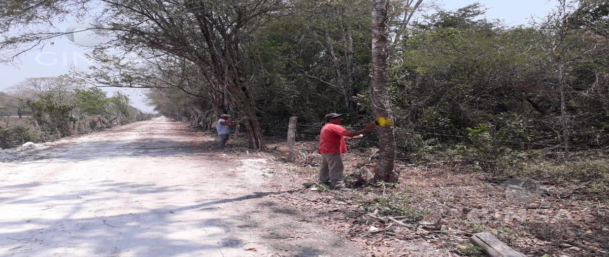 Foto de terreno habitacional en , san joaquín, campeche, campeche, 0 foto 04 Foto de terreno habitacional en venta en , san joaquín, campeche, campeche, 0 No. 04