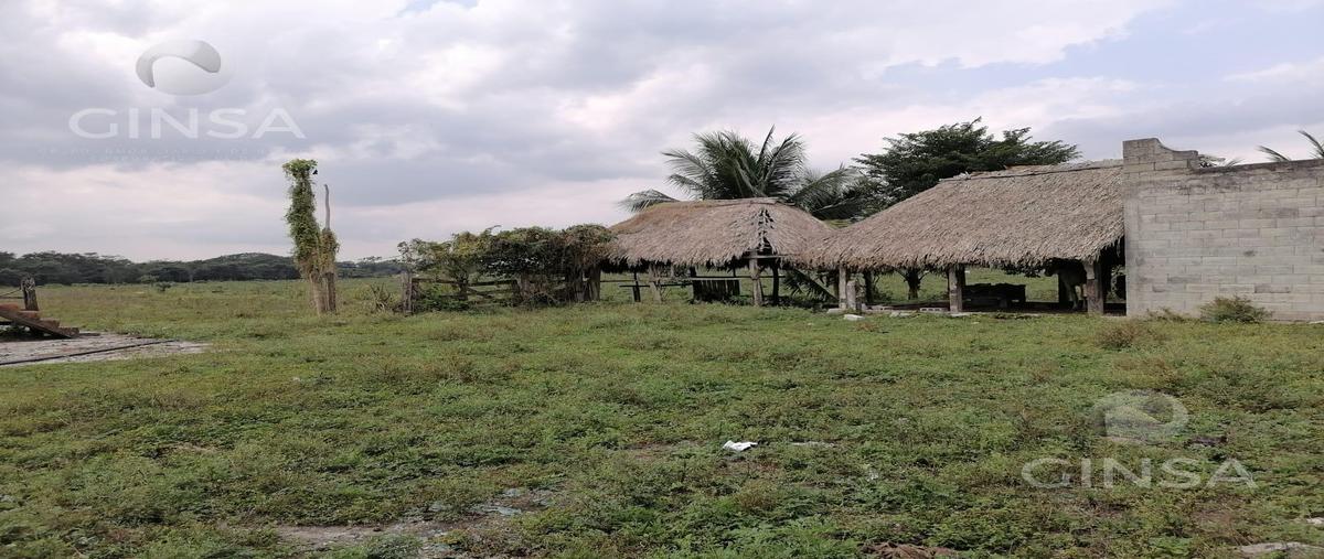 Foto de terreno habitacional en , san joaquín, campeche, campeche, 0 foto 05 Foto de terreno habitacional en venta en , san joaquín, campeche, campeche, 0 No. 05