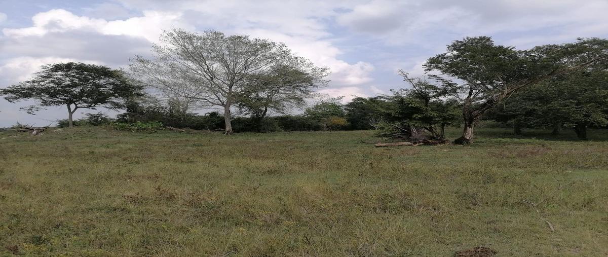 Foto de terreno habitacional en venta en  , san joaquín, carmen, campeche, 23497002 No. 03