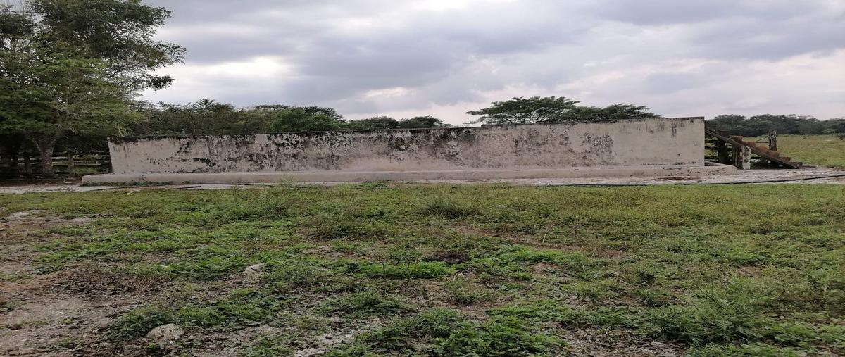 Foto de terreno habitacional en venta en  , san joaquín, carmen, campeche, 23497002 No. 04