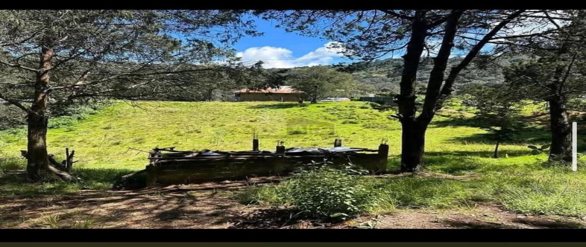 Foto de casa en venta en san joaquin pueblo magico 1, san joaquín, san joaquín, querétaro, 0 No. 03