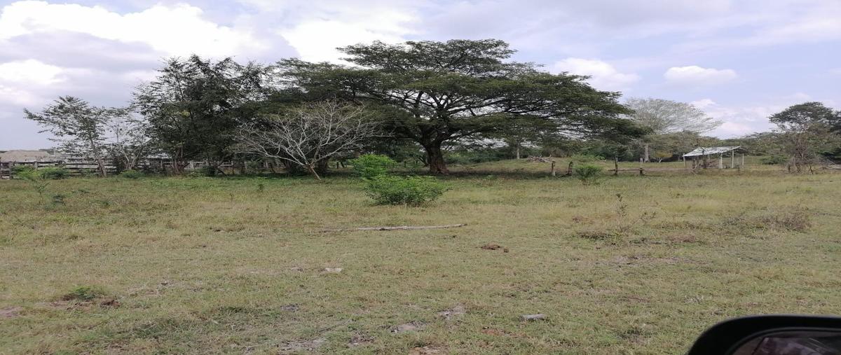 Foto de terreno habitacional en san joaquín , san joaquín, campeche, campeche, 28484547 foto 05 Foto de terreno habitacional en venta en san joaquín , san joaquín, campeche, campeche, 28484547 No. 05