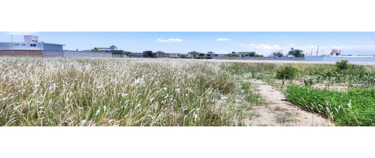 Foto de terreno habitacional en venta en  , san jorge tezoquipan, panotla, tlaxcala, 0 No. 03