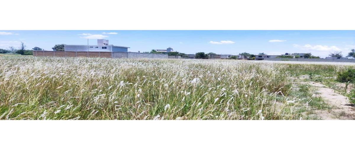 Foto de terreno habitacional en venta en  , san jorge tezoquipan, panotla, tlaxcala, 0 No. 04