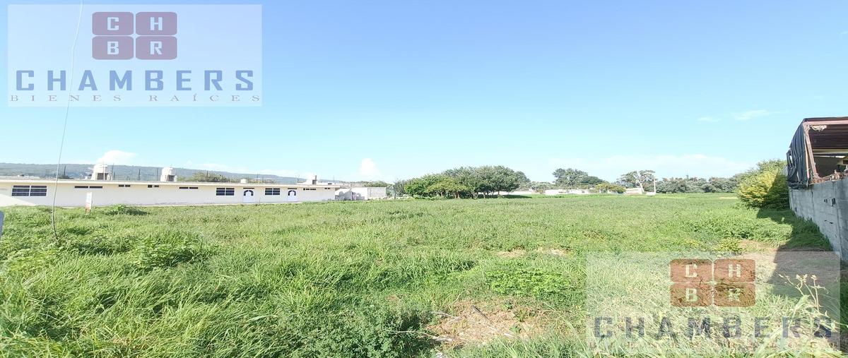 Foto de terreno habitacional en venta en  , san jorge tezoquipan, panotla, tlaxcala, 29453818 No. 04