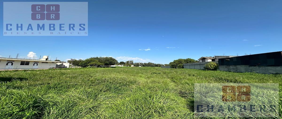 Foto de terreno habitacional en venta en  , san jorge tezoquipan, panotla, tlaxcala, 29453818 No. 05