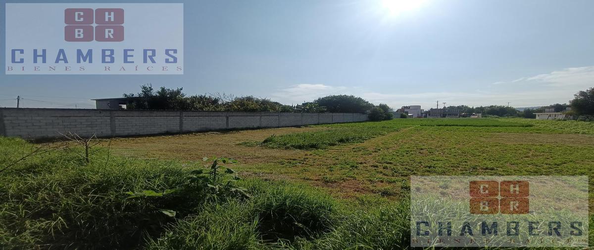 Foto de terreno habitacional en venta en  , san jorge tezoquipan, panotla, tlaxcala, 29818367 No. 04