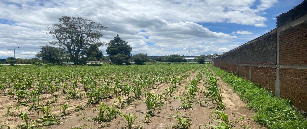 Foto de terreno habitacional en , san josé atoyatenco, natívitas, tlaxcala, 28703881 foto 05 Foto de terreno habitacional en venta en , san josé atoyatenco, natívitas, tlaxcala, 28703881 No. 05