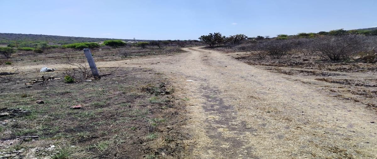 Foto de terreno habitacional en venta en san jose buenavista , la solana, querétaro, querétaro, 31022974 No. 03