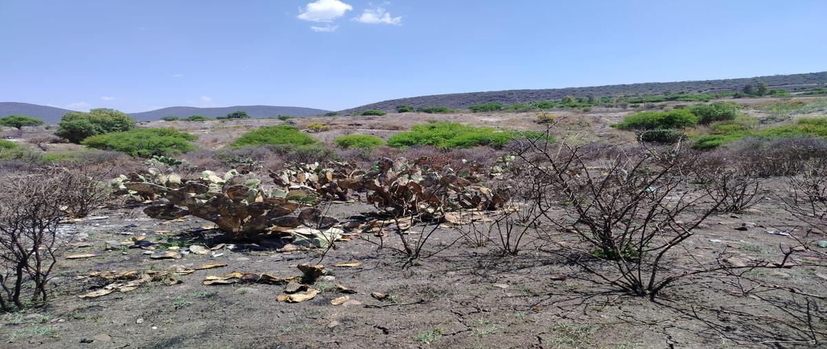 Foto de terreno habitacional en venta en san jose buenavista , la solana, querétaro, querétaro, 31022974 No. 05