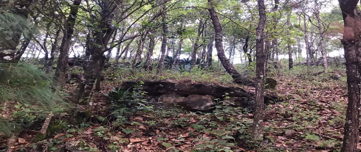 Foto de terreno habitacional en venta en  , san josé buenavista, san cristóbal de las casas, chiapas, 12378113 No. 03