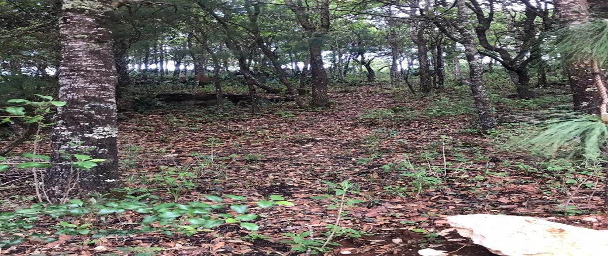 Foto de terreno habitacional en venta en  , san josé buenavista, san cristóbal de las casas, chiapas, 12378113 No. 04