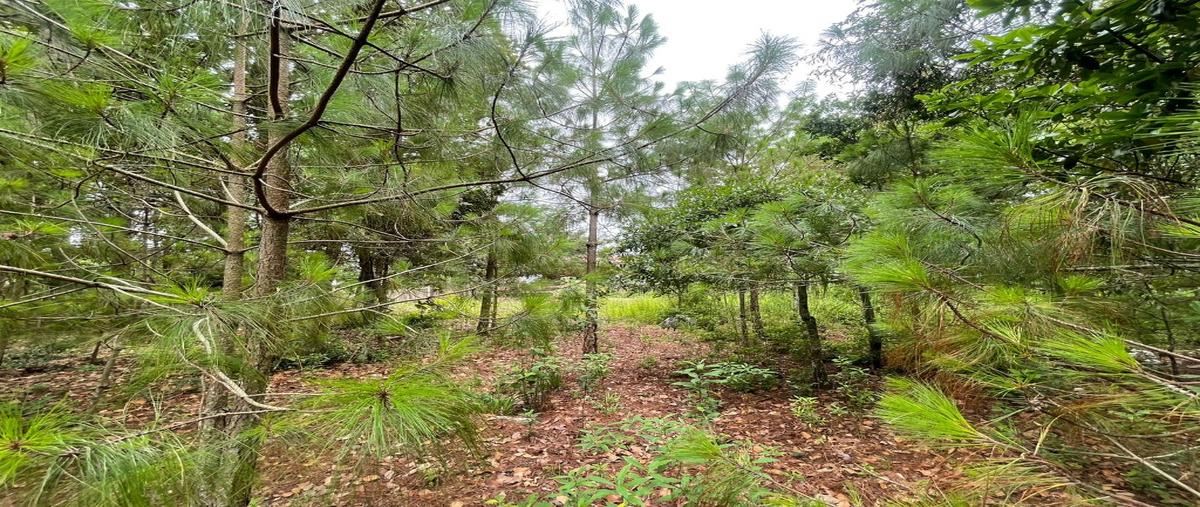 Foto de terreno habitacional en venta en  , san josé buenavista, san cristóbal de las casas, chiapas, 28652217 No. 03