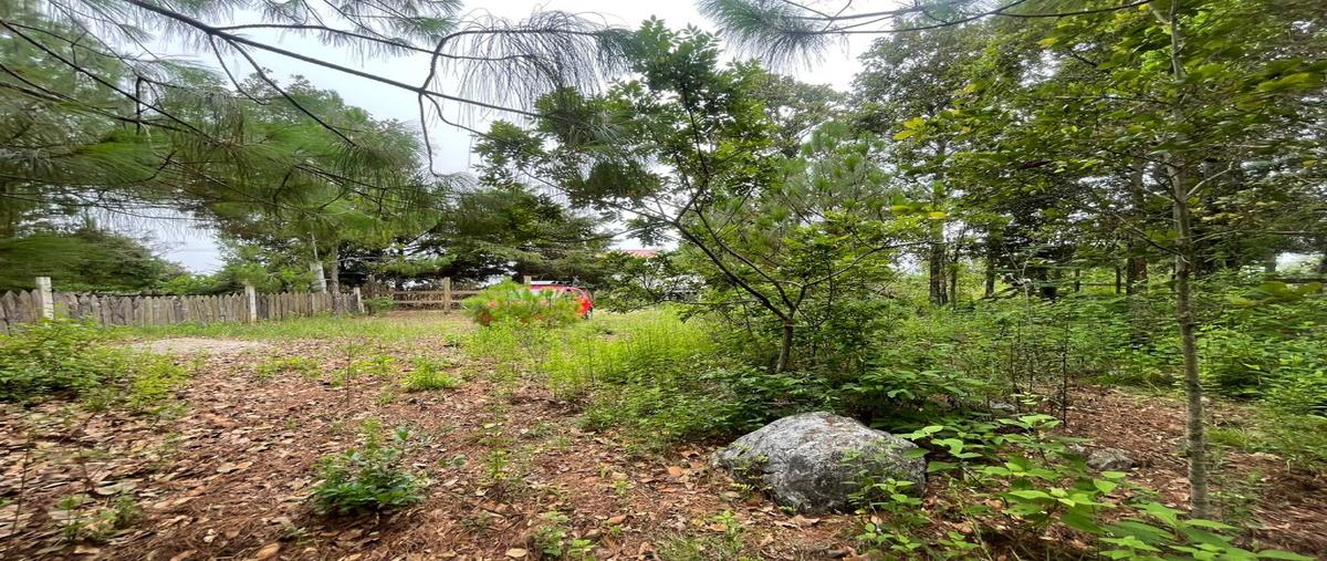 Foto de terreno habitacional en venta en  , san josé buenavista, san cristóbal de las casas, chiapas, 28652217 No. 04