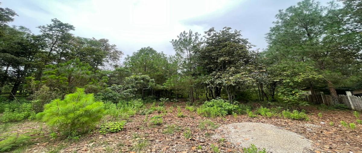 Foto de terreno habitacional en venta en  , san josé buenavista, san cristóbal de las casas, chiapas, 28652217 No. 05