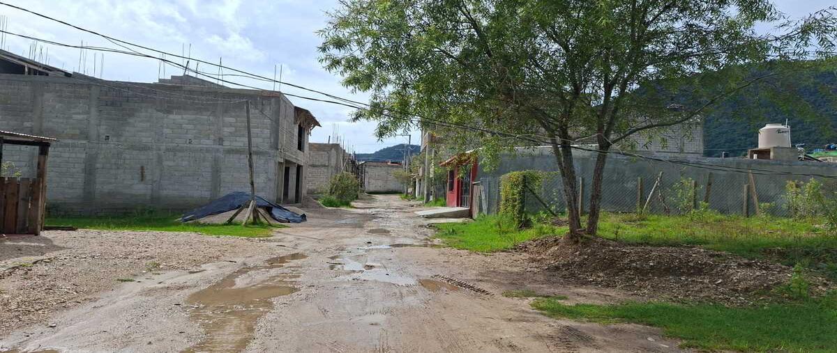 Foto de terreno habitacional en venta en  , san josé buenavista, san cristóbal de las casas, chiapas, 0 No. 05