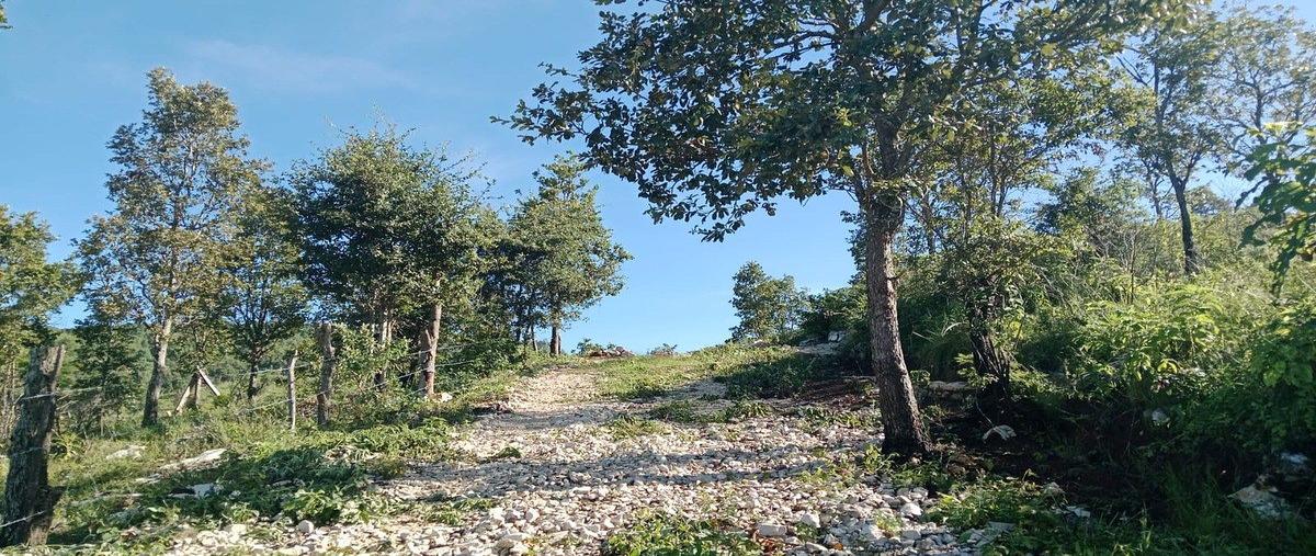 Foto de terreno habitacional en venta en  , san josé buenavista, san cristóbal de las casas, chiapas, 0 No. 03