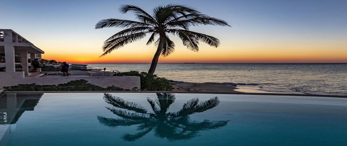 Foto de terreno habitacional en san jose chakan , chicxulub, chicxulub pueblo, yucatán, 0 foto 03 Foto de terreno habitacional en venta en san jose chakan , chicxulub, chicxulub pueblo, yucatán, 0 No. 03