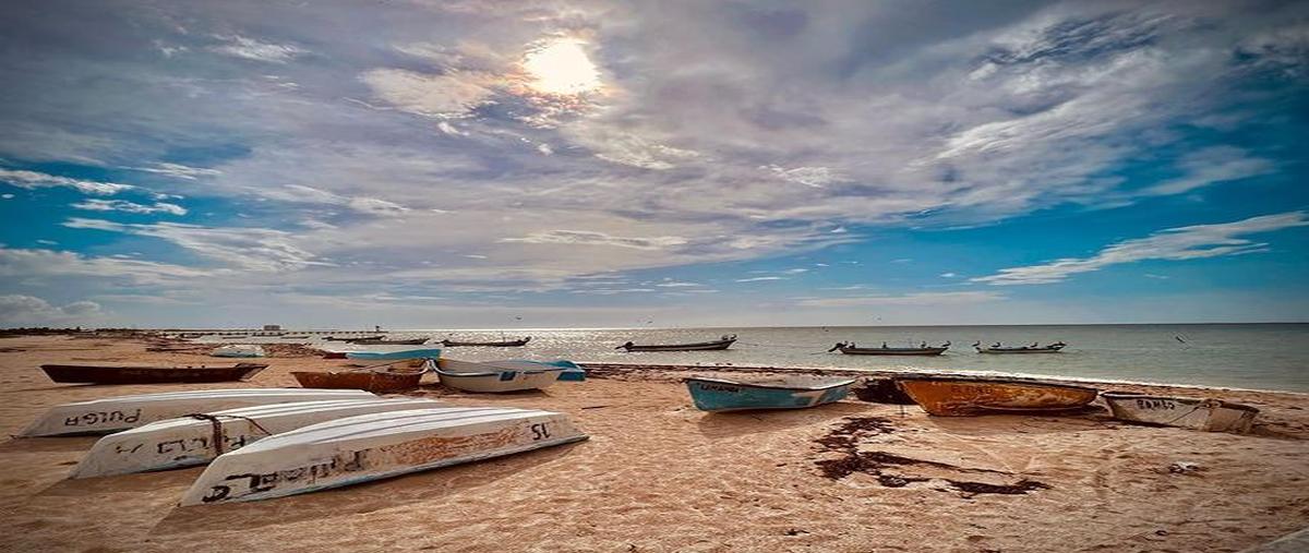 Foto de terreno habitacional en san jose chakan , chicxulub, chicxulub pueblo, yucatán, 0 foto 05 Foto de terreno habitacional en venta en san jose chakan , chicxulub, chicxulub pueblo, yucatán, 0 No. 05