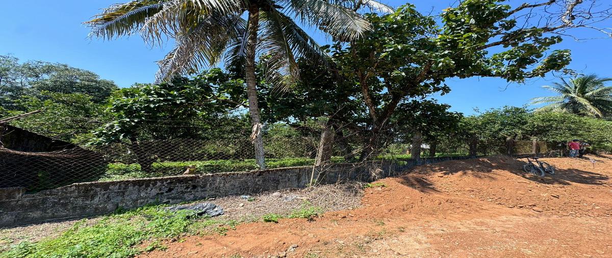 Foto de terreno habitacional en venta en  , san jose chiltepec, san josé chiltepec, oaxaca, 0 No. 04