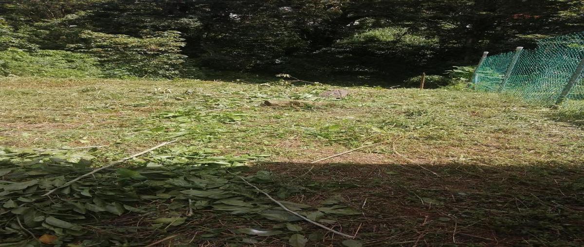 Foto de terreno habitacional en venta en  , san josé, coatepec, veracruz de ignacio de la llave, 0 No. 04