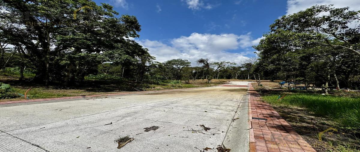 Foto de terreno habitacional en venta en  , san josé, coatepec, veracruz de ignacio de la llave, 29817036 No. 02