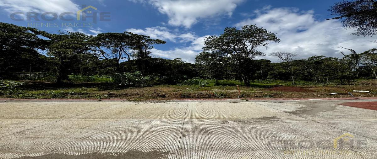 Foto de terreno habitacional en venta en  , san josé, coatepec, veracruz de ignacio de la llave, 29817036 No. 04