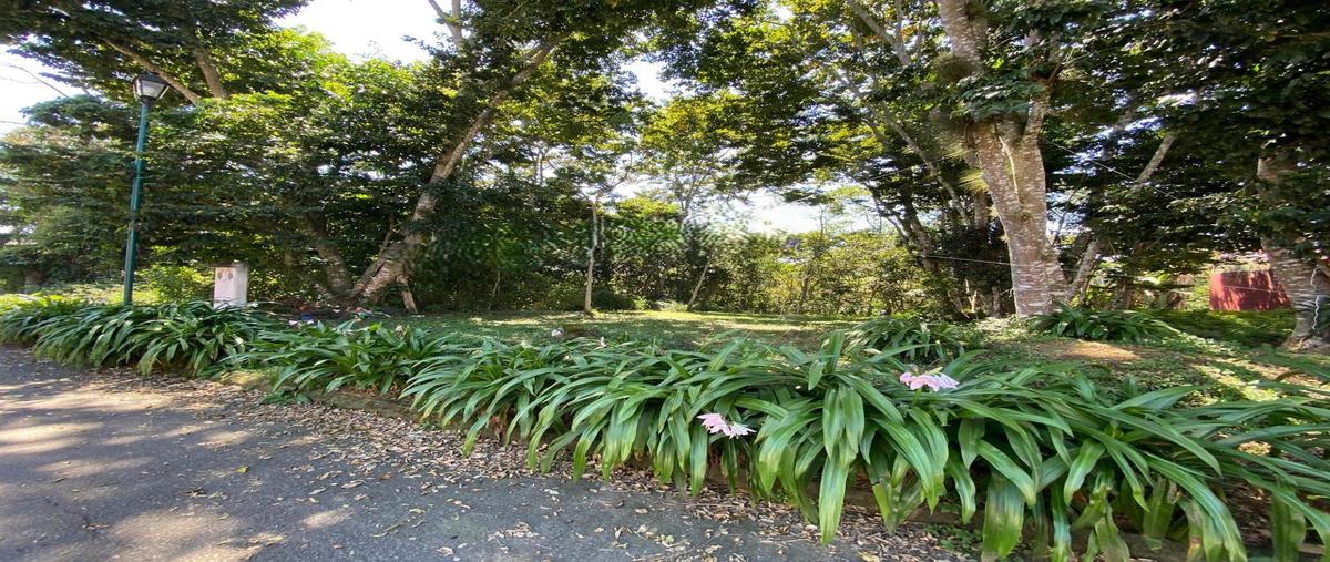 Foto de terreno habitacional en , san josé, coatepec, veracruz de ignacio de la llave, 0 foto 01 Foto de terreno habitacional en venta en , san josé, coatepec, veracruz de ignacio de la llave, 0 No. 01