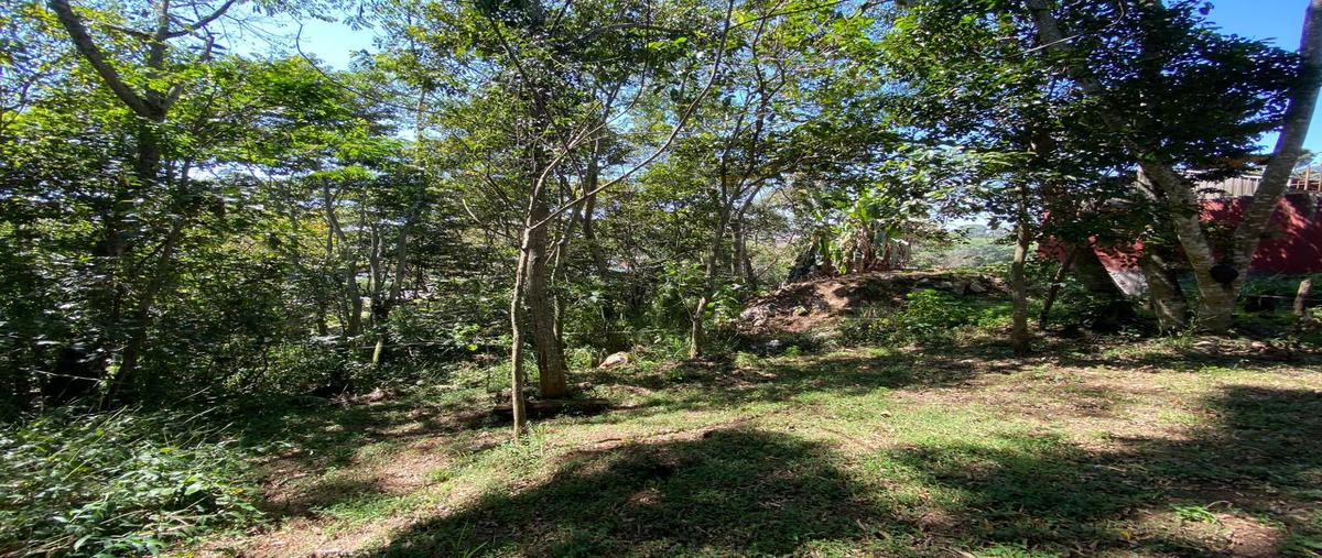 Foto de terreno habitacional en , san josé, coatepec, veracruz de ignacio de la llave, 0 foto 05 Foto de terreno habitacional en venta en , san josé, coatepec, veracruz de ignacio de la llave, 0 No. 05