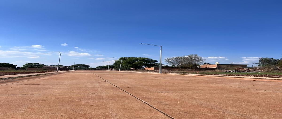 Foto de terreno habitacional en venta en san josé de bazarte , san jose de bazarte, tepatitlán de morelos, jalisco, 23350260 No. 04