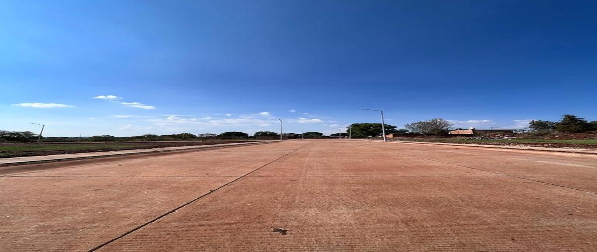 Foto de terreno habitacional en venta en san josé de bazarte , san jose de bazarte, tepatitlán de morelos, jalisco, 23350260 No. 05