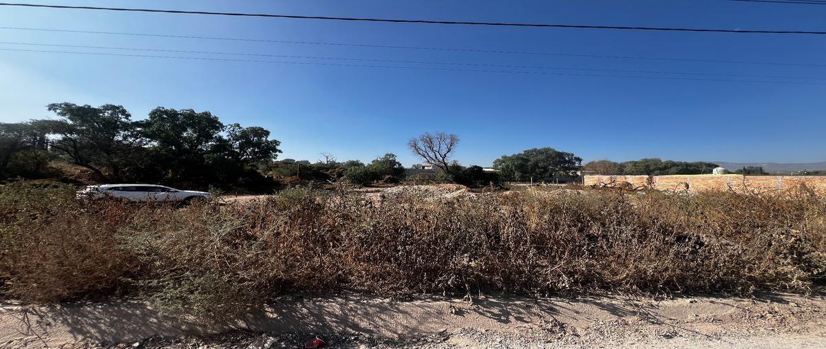 Foto de terreno habitacional en venta en  , san josé de buenavista, san luis potosí, san luis potosí, 0 No. 03