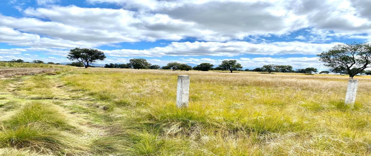 Foto de terreno habitacional en venta en  , san josé de chiapa, san josé chiapa, puebla, 22574982 No. 05