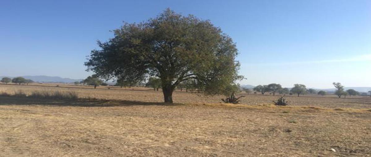 Foto de terreno habitacional en venta en  , san josé de chiapa, san josé chiapa, puebla, 0 No. 05