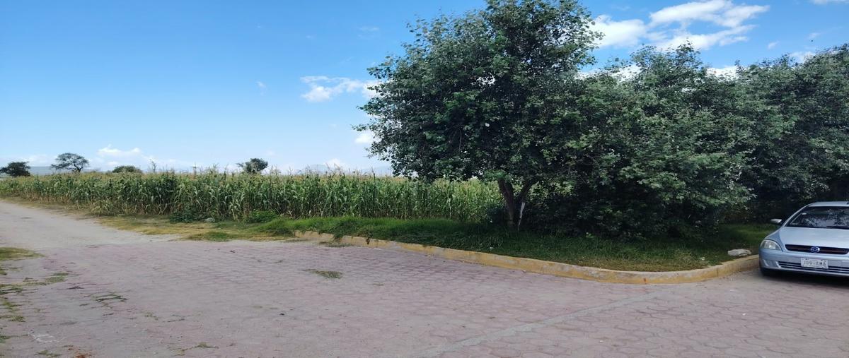 Foto de terreno habitacional en venta en  , san josé de chiapa, san josé chiapa, puebla, 0 No. 03