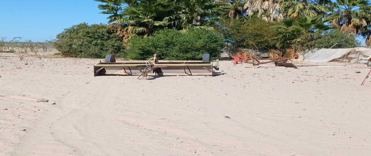 Foto de rancho en venta en  , san josé de comondú, comondú, baja california sur, 0 No. 01
