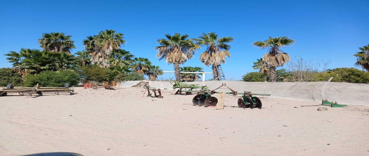 Foto de rancho en venta en  , san josé de comondú, comondú, baja california sur, 0 No. 03