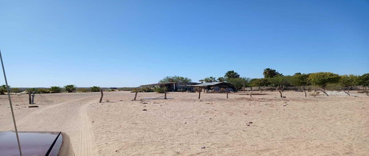 Foto de rancho en venta en  , san josé de comondú, comondú, baja california sur, 0 No. 05