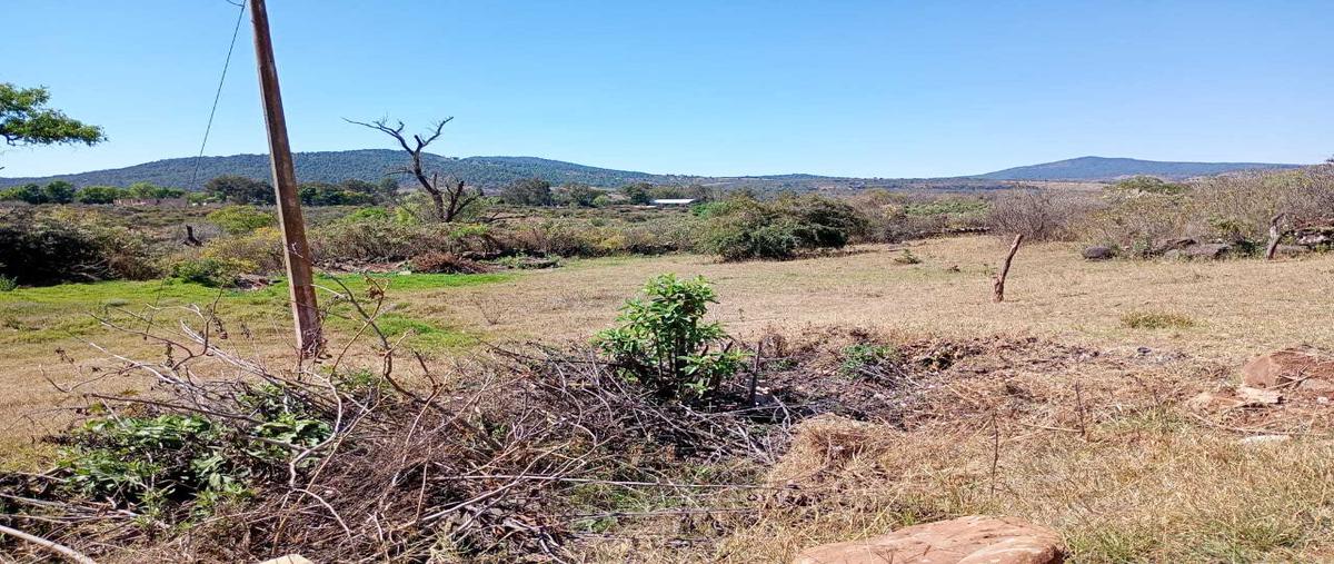 Foto de terreno habitacional en , san josé de gracia, marcos castellanos, michoacán de ocampo, 0 foto 02 Foto de terreno habitacional en venta en , san josé de gracia, marcos castellanos, michoacán de ocampo, 0 No. 02
