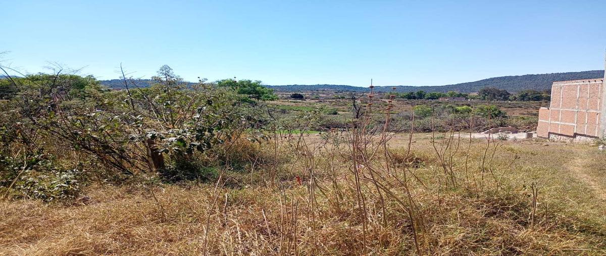 Foto de terreno habitacional en , san josé de gracia, marcos castellanos, michoacán de ocampo, 0 foto 04 Foto de terreno habitacional en venta en , san josé de gracia, marcos castellanos, michoacán de ocampo, 0 No. 04