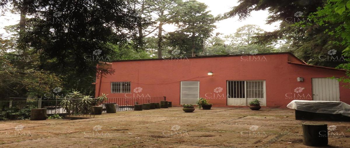 Foto de casa en venta en  , san josé de la montaña, huitzilac, morelos, 31559465 No. 04