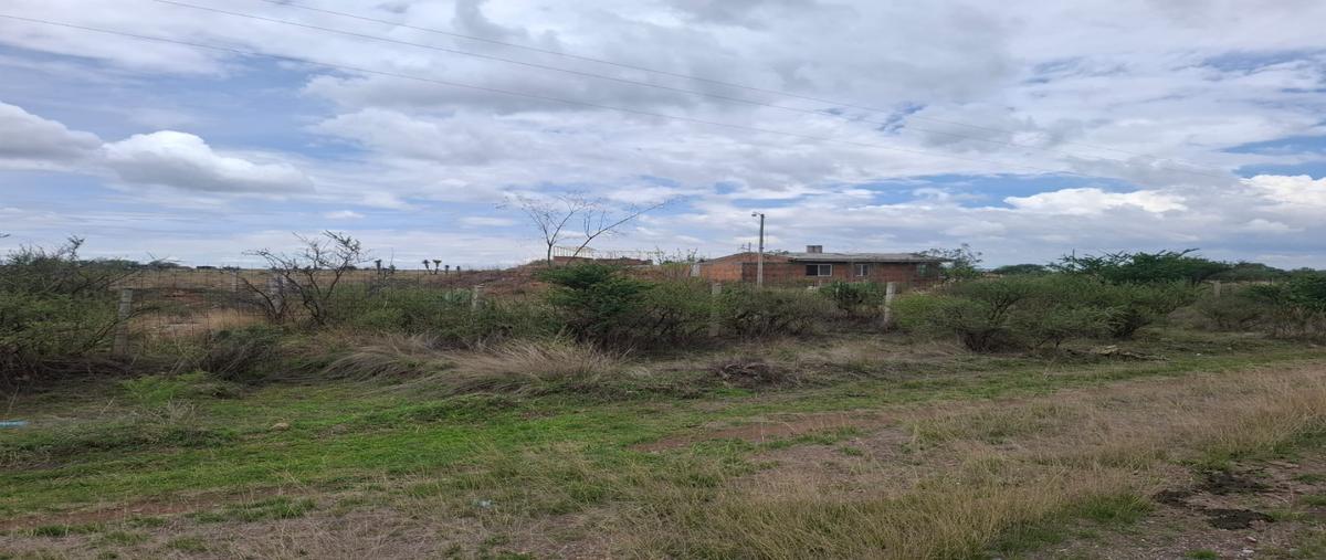 Foto de terreno habitacional en venta en  , san josé de la ordeña, aguascalientes, aguascalientes, 0 No. 03