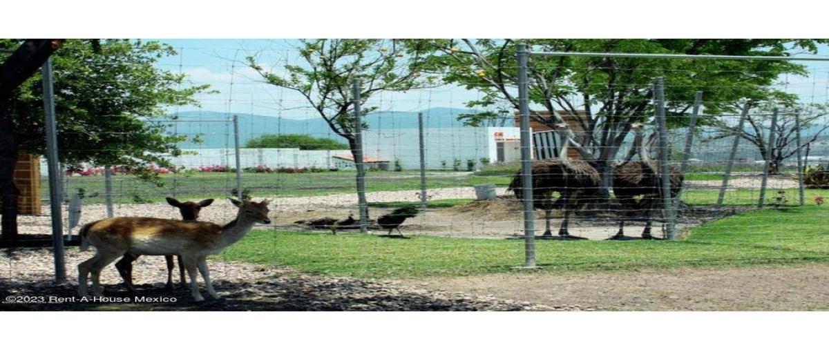 Foto de terreno habitacional en venta en  , san josé de la tinaja, querétaro, querétaro, 0 No. 03
