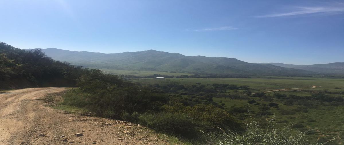 Foto de terreno habitacional en venta en san jose de la zorra , la zorra, playas de rosarito, baja california, 10438399 No. 05