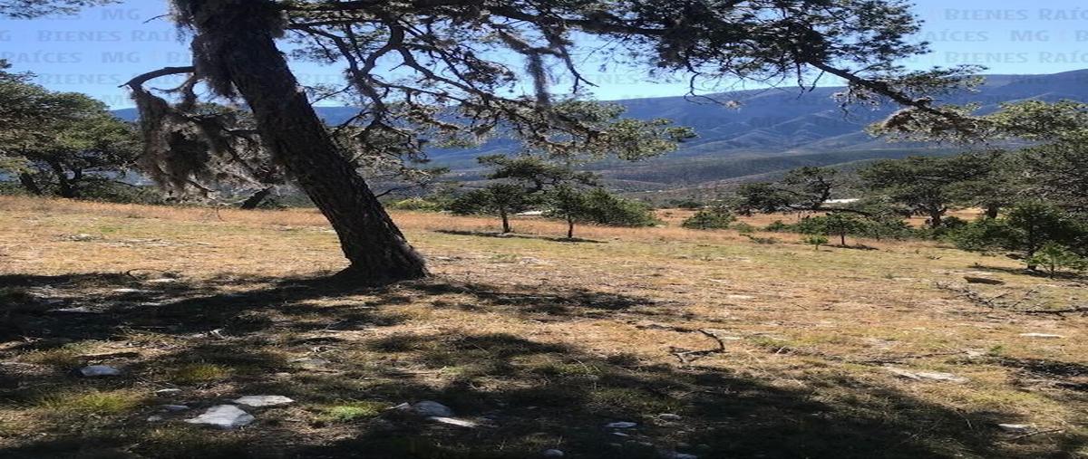 Foto de terreno habitacional en venta en  , san jose de las boquillas, santiago, nuevo león, 30648423 No. 04